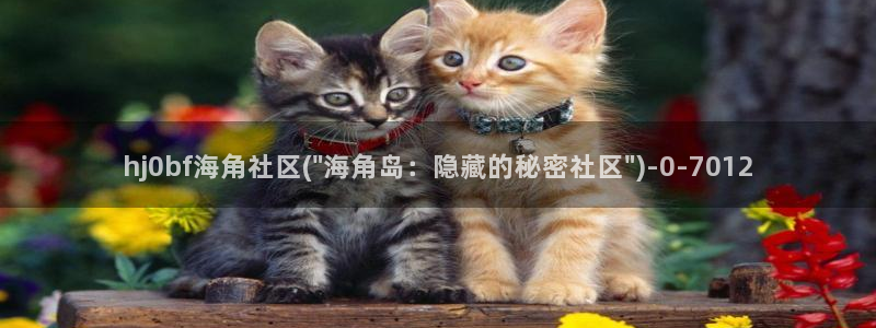海角社区1.8.0：hj0bf海角社区(\