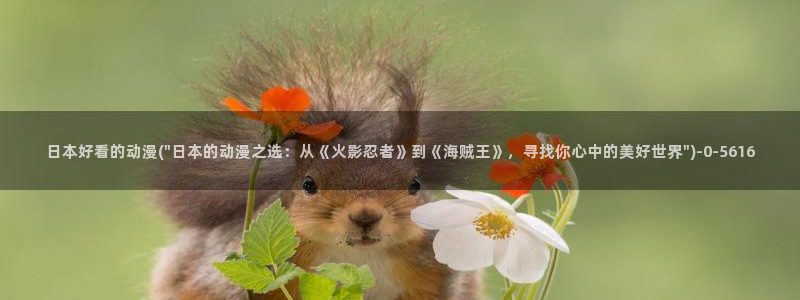 黑暗圣经动漫：日本好看的动漫(\