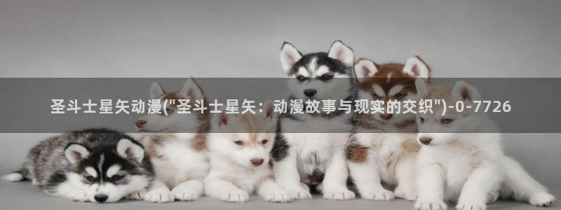 动漫照片：圣斗士星矢动漫(\