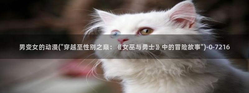 k动漫：男变女的动漫(\