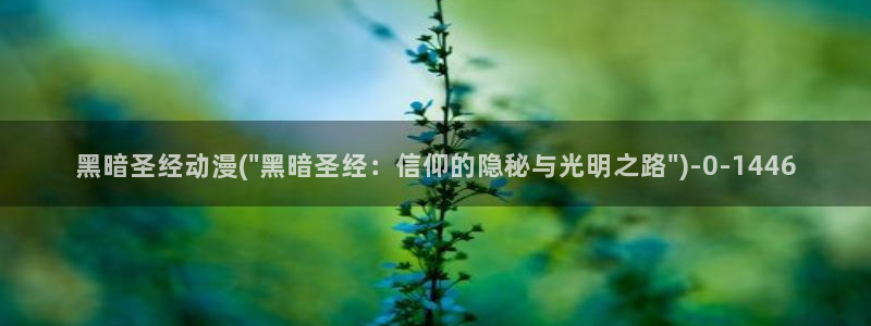 动漫人物图片大全